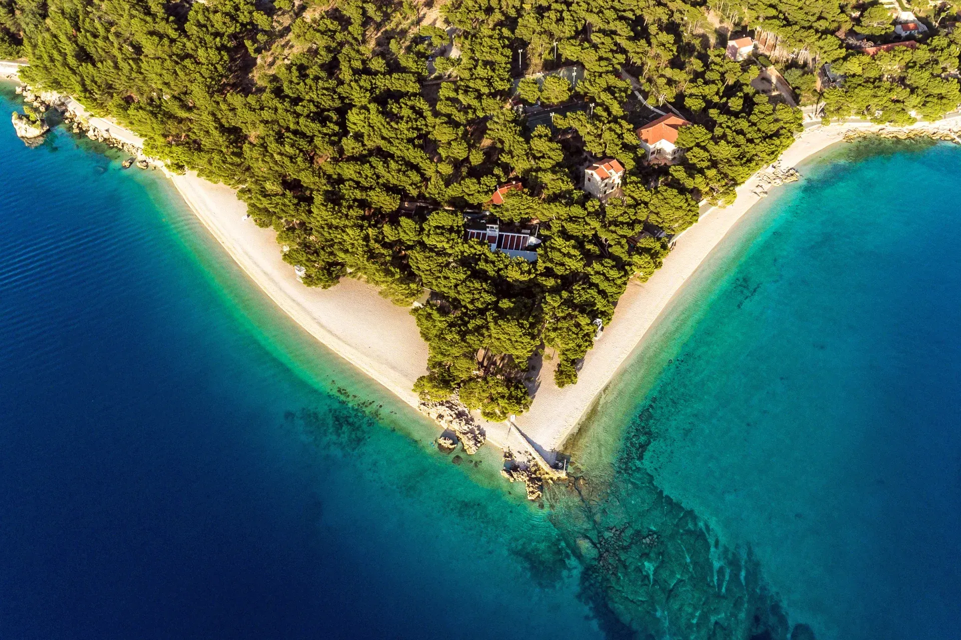 Brela beach with pine trees and clear water
